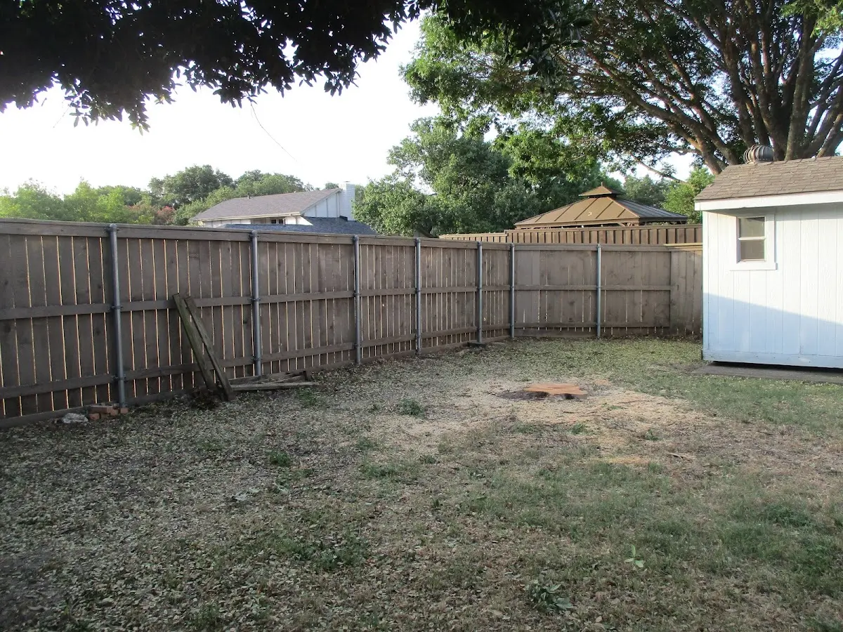 Cleared yard after professional tree removal in Spring Creek
